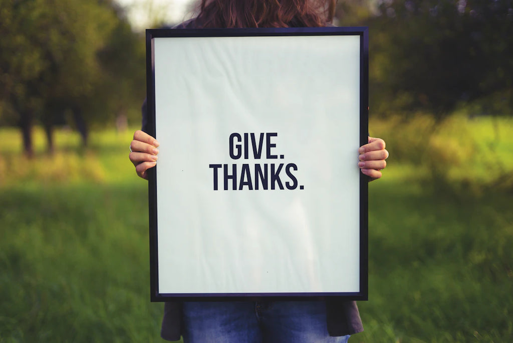 The Power of Gratitude in Daily Life