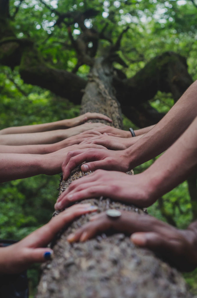 The Community Connection: Boosting Health Together
